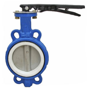 Butterfly-Valve-PTFE-Seal.jpg